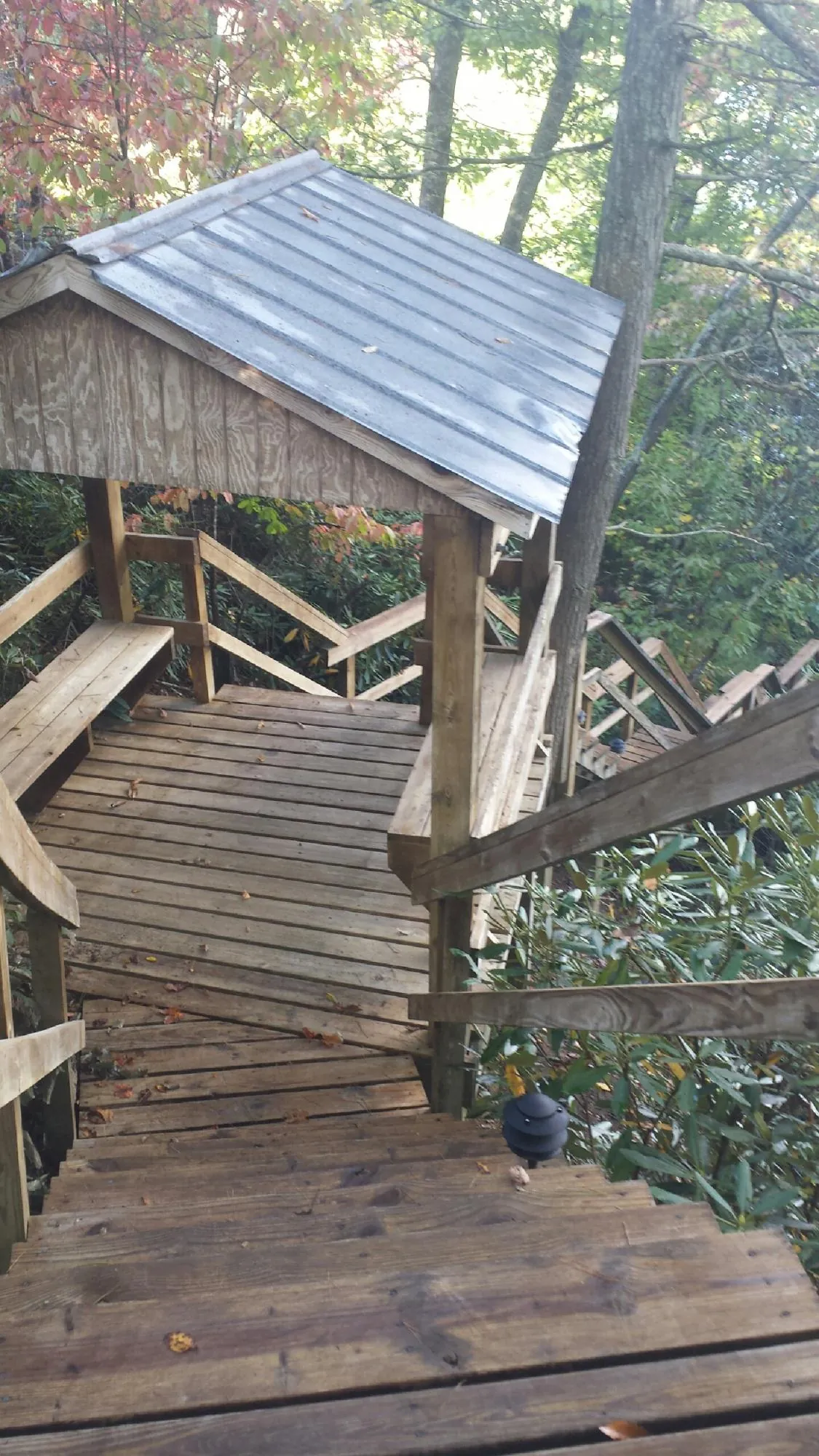 Metal roofed shelter over wooden steps on a wooded walkway — Skylight Repair & Installation work by our crew in Clearbrook