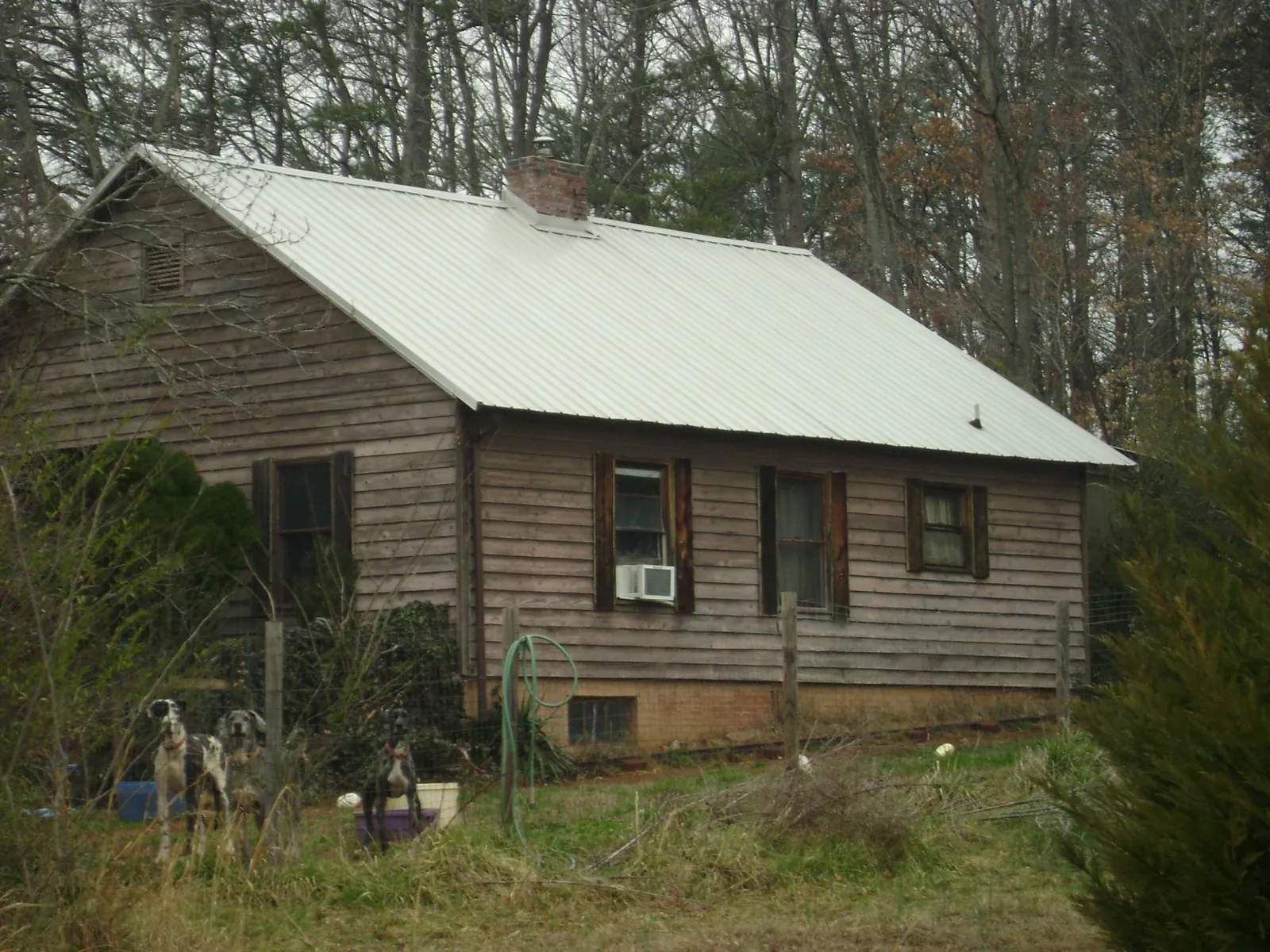White metal roof on an old wood sided farmhouse, from a Asphalt Shingle Roof Repair job in Clearbrook